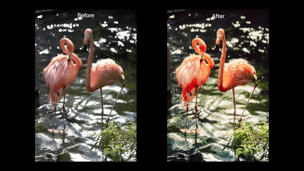 masterbeautbefore-7.webp