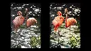 masterbeautbefore-7.webp