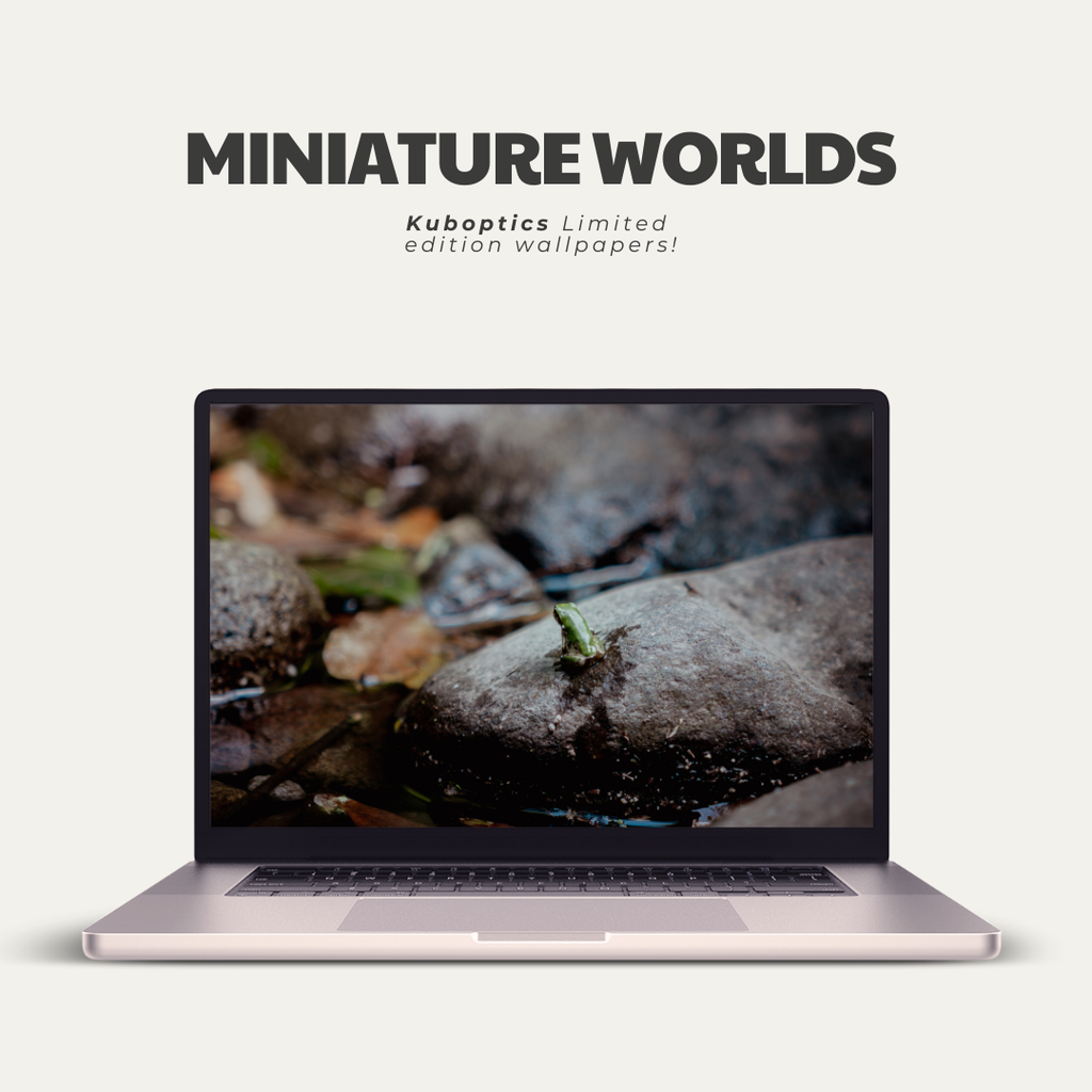 Miniature Worlds