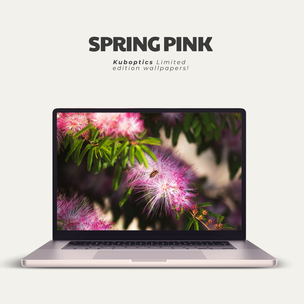 Spring Pink