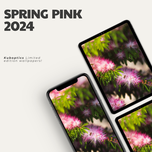Spring Pink